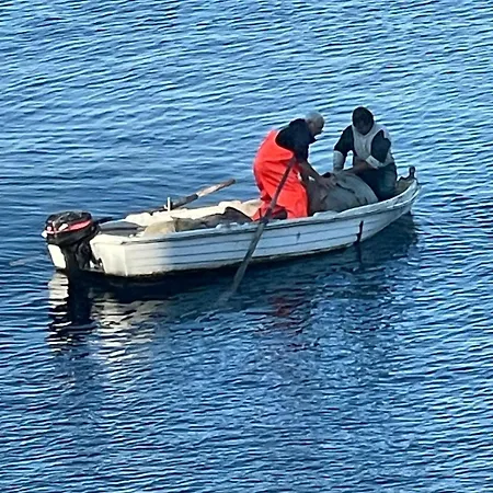 شقة Vitamin Sea *
